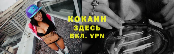 mdpv Каменка