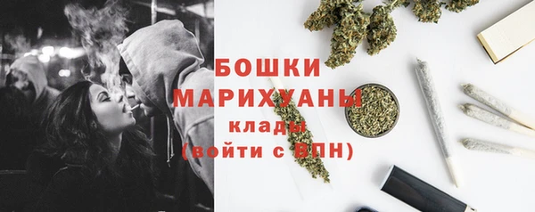 mdpv Каменка