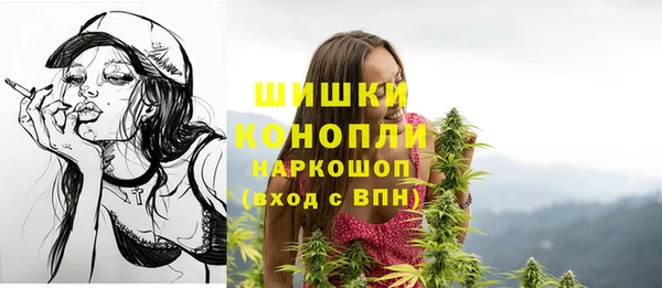mdpv Каменка