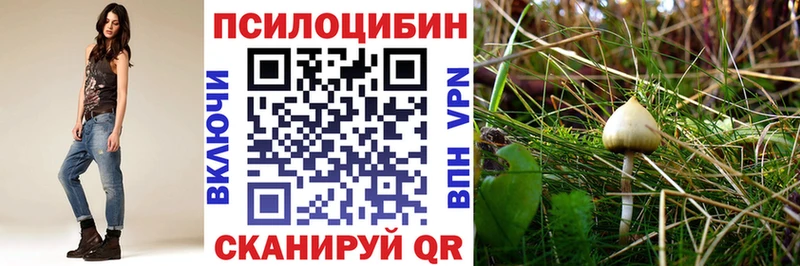 Купить где  Кизел  Псилоцибиновые грибы MAGIC MUSHROOMS 